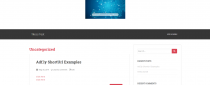 Background Changer - Wordpress Plugin Screenshot 2